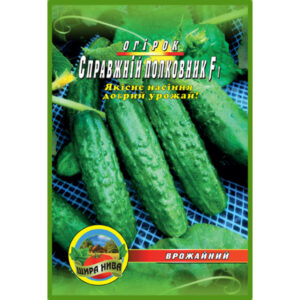 Огірок Справжній полковник F1 пакет 30 насінин