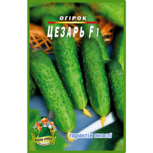 Огірок Цезар F1 пакет 30 насінин