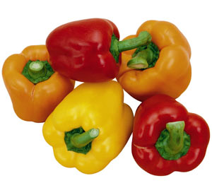 Умови вирощування розсади перцю