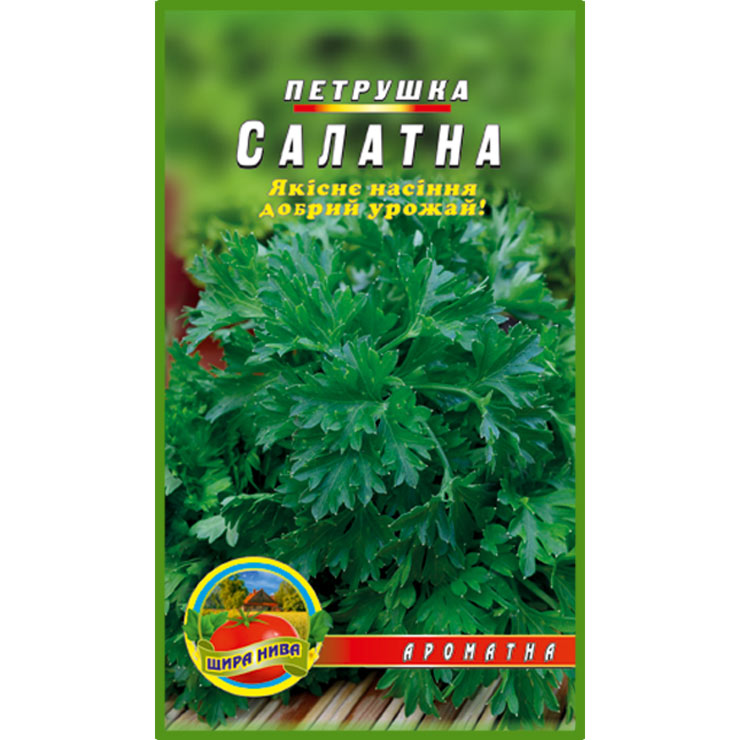 Петрушка Салатна 3000 насінин