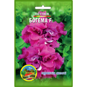 Петунія Богема