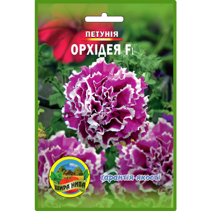Петунія Орхідея