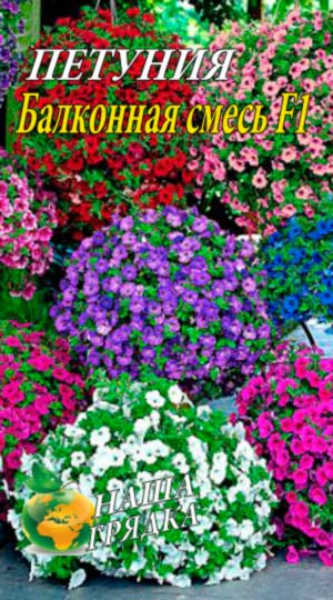 Петунія Балконна суміш забарвлень F1