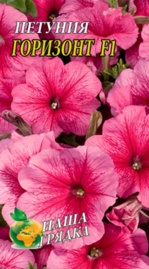 Петунія Горизонт F1