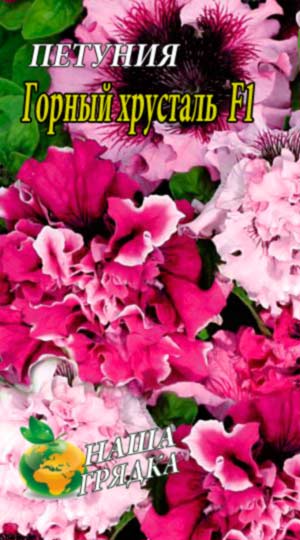 Петунія Гірський кришталь