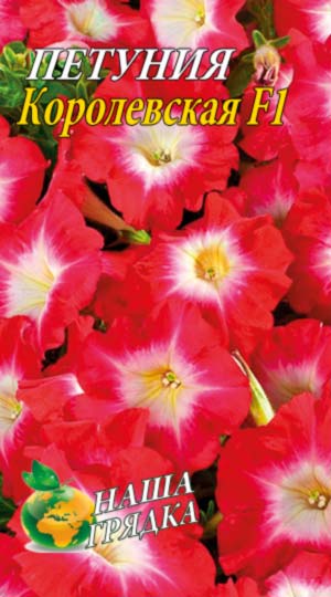 Петунія Королівська F1