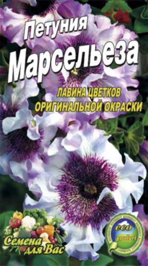 Петунія Марсельєза F1