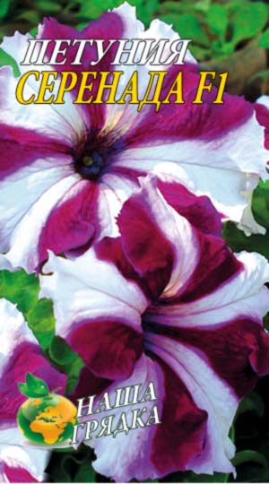 Петунія Серенада F1