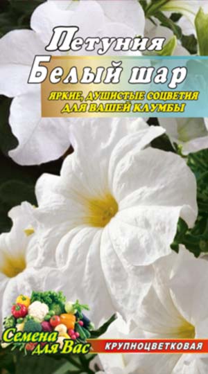 Петунія Біла куля