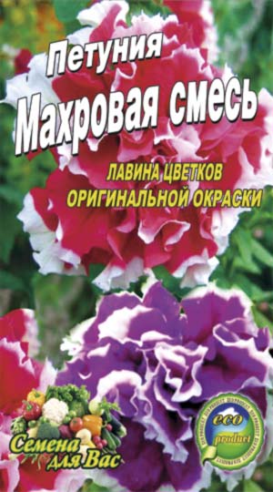 Петунія Махрова суміш