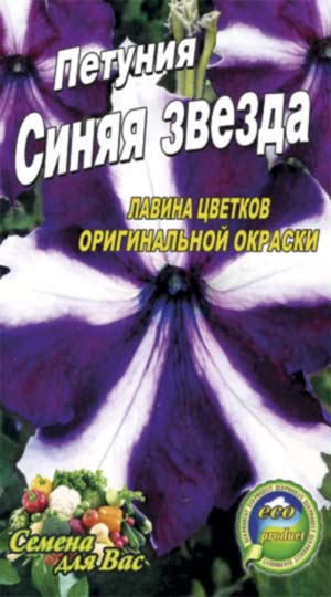 Петунія Синій водоспад