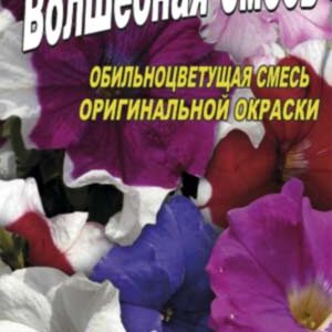 Петунія Суміш