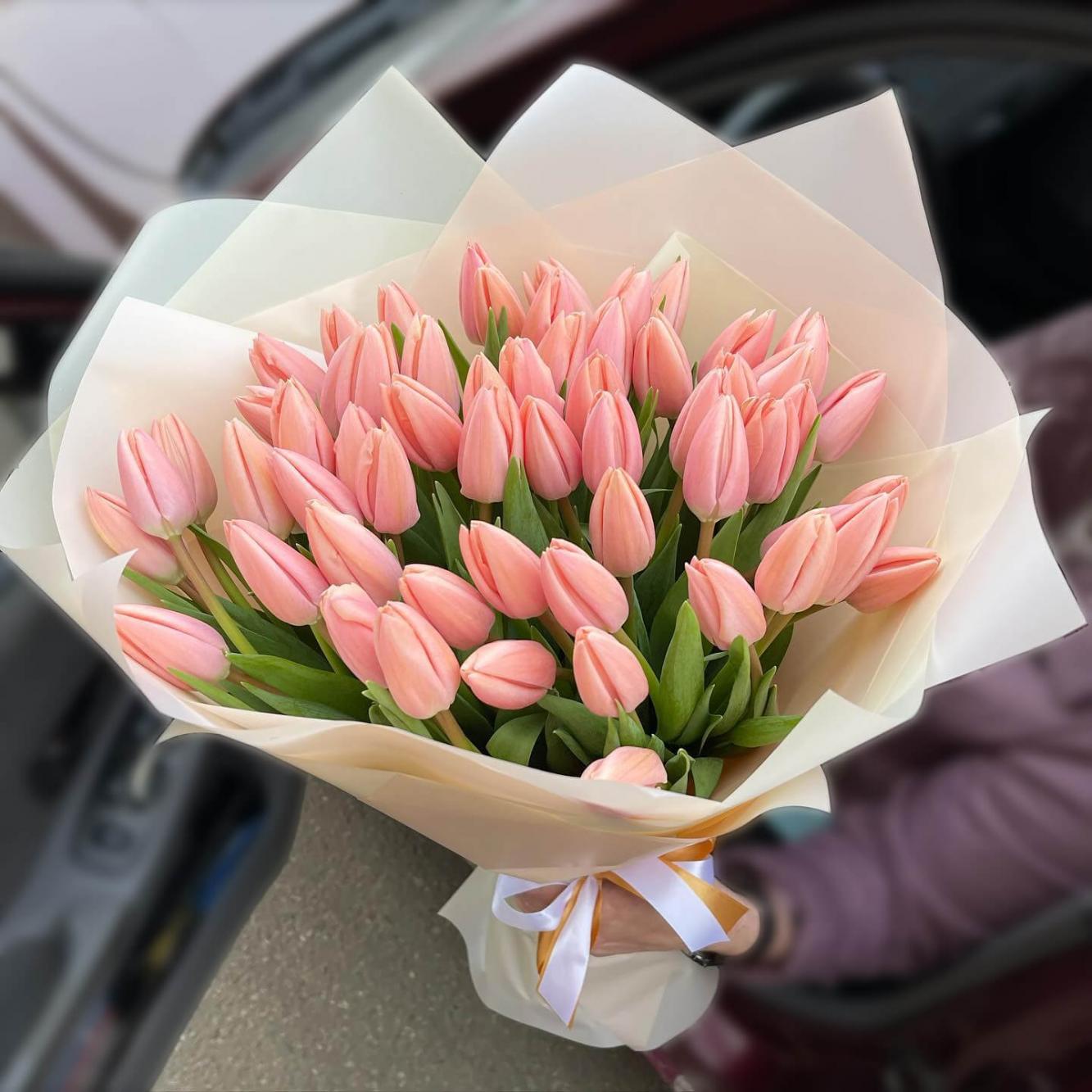 Тюльпан Thijs Boots 600 цибулин розмір 12+