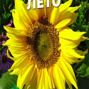 Соняшник декоративний Літо