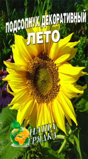 Соняшник декоративний Літо
