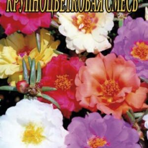 Портулак Крупноквіткова суміш