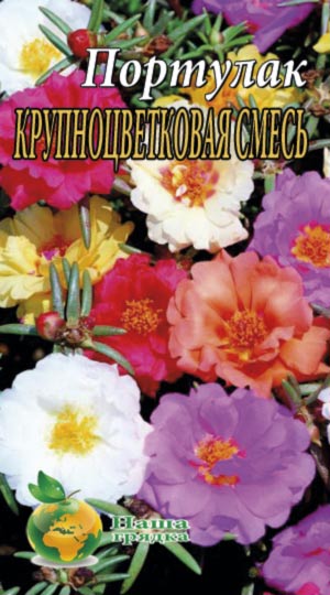 Портулак Крупноквіткова суміш