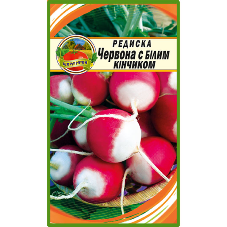 Редиска Червона з білим кінчиком пакет 20 грамів насінин