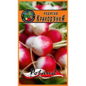 Редиска Краковянка пакет 20 грамів насінин