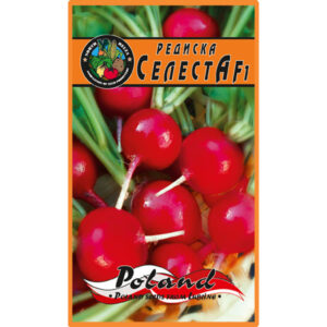 Редиска Селеста f1 пакет 20 грамів насінин