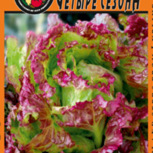 Салат Чотири сезони пакет 1 грам