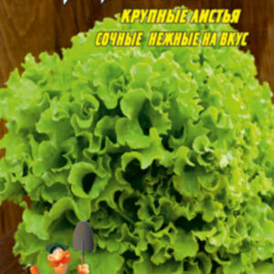 Салат Латук пакет 600 насінин
