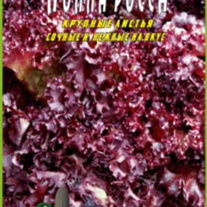 Салат Лолла росса пакет 500 насінин