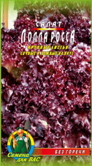 Салат Лолла росса пакет 500 насінин