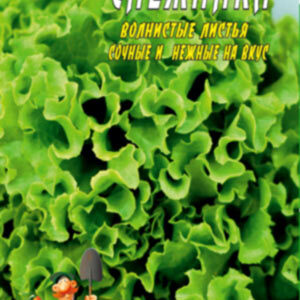Салат Сніжинка пакет 1500 насінин