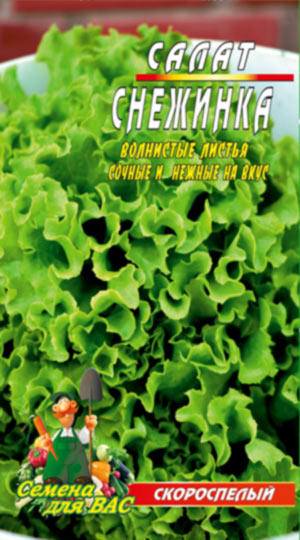 Салат Сніжинка пакет 1500 насінин
