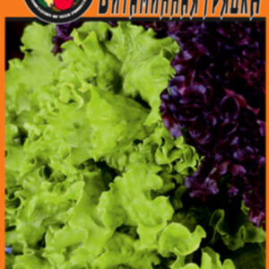 Салат Вітамінна нива пакет 2 грама