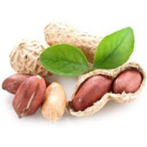 Насіння арахісу