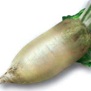 Насіння кормового буряка