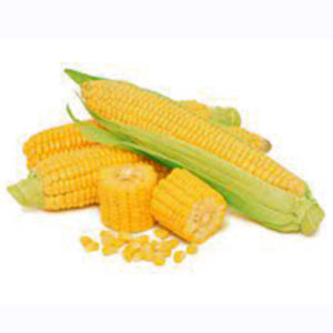 Насіння кукурудзи