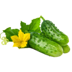 Насіння огірків