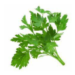 Насіння петрушки