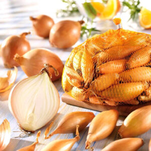 Цибуля Бірнформіг сітка 1 кг розмір 10/12