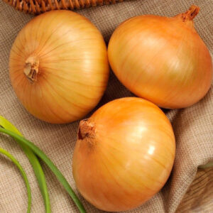 Цибуля Сеншуй сітка 1 кг розмір 10/12