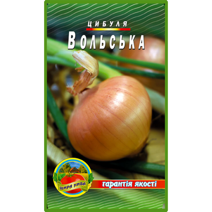 Лук Вольський пакет 5 грамів