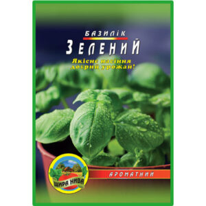 Базилік зелений 500 насінин