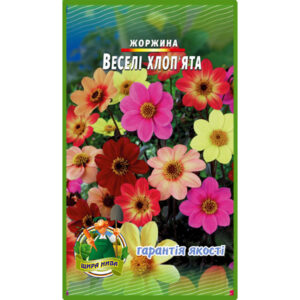 Жоржина Веселі хлоп'ята